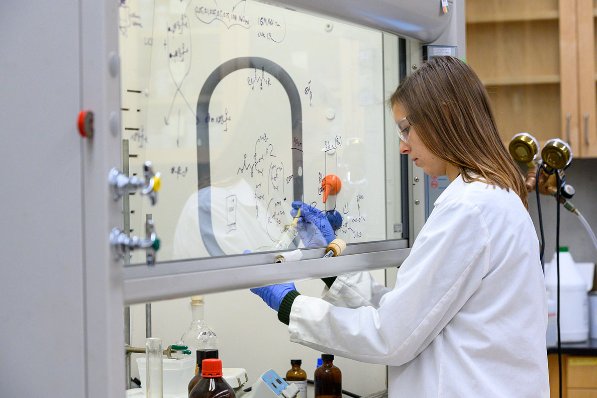 A researcher works in a laboratory