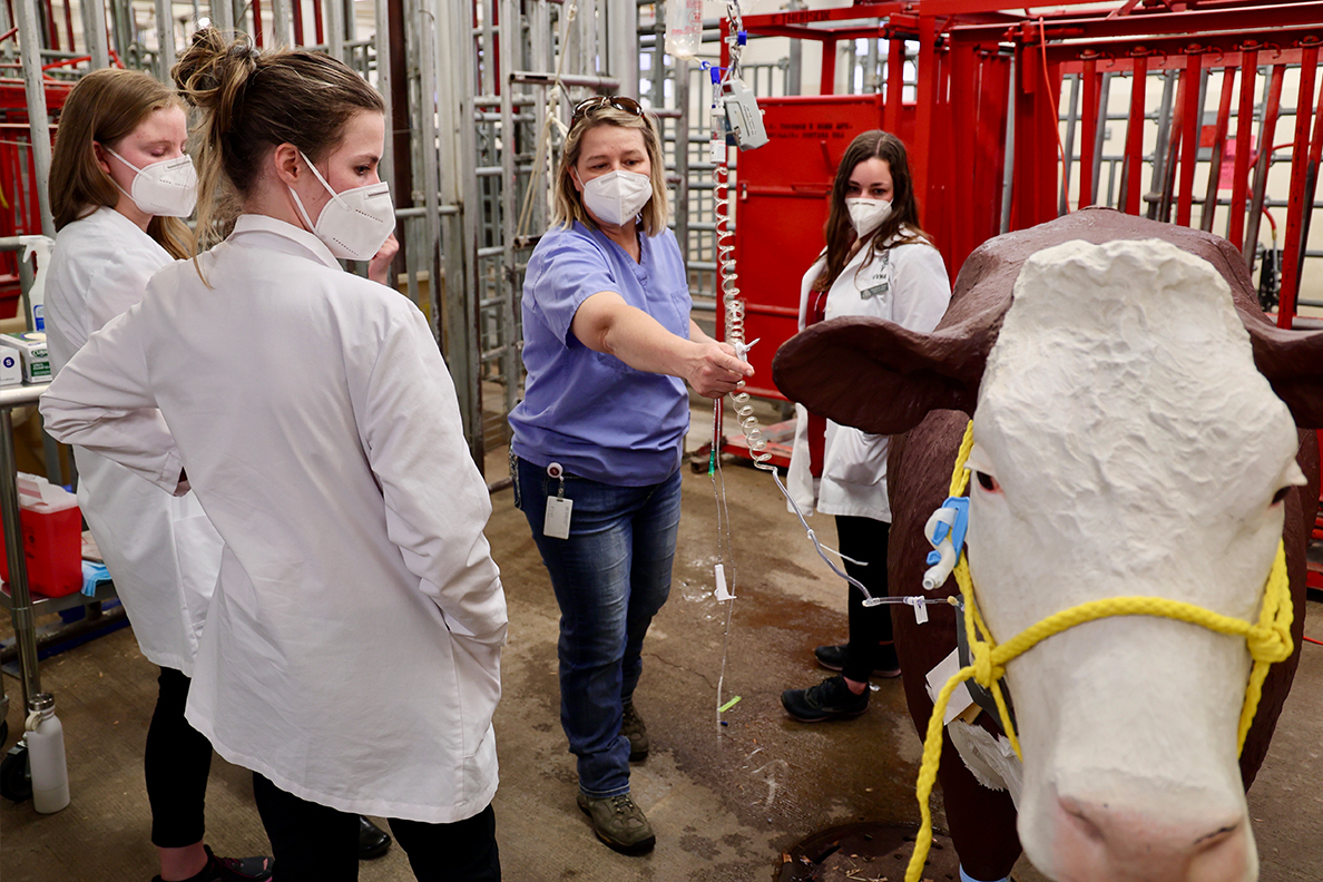 Vet students watch while an instructor demonstrates how to use a fluid pump.