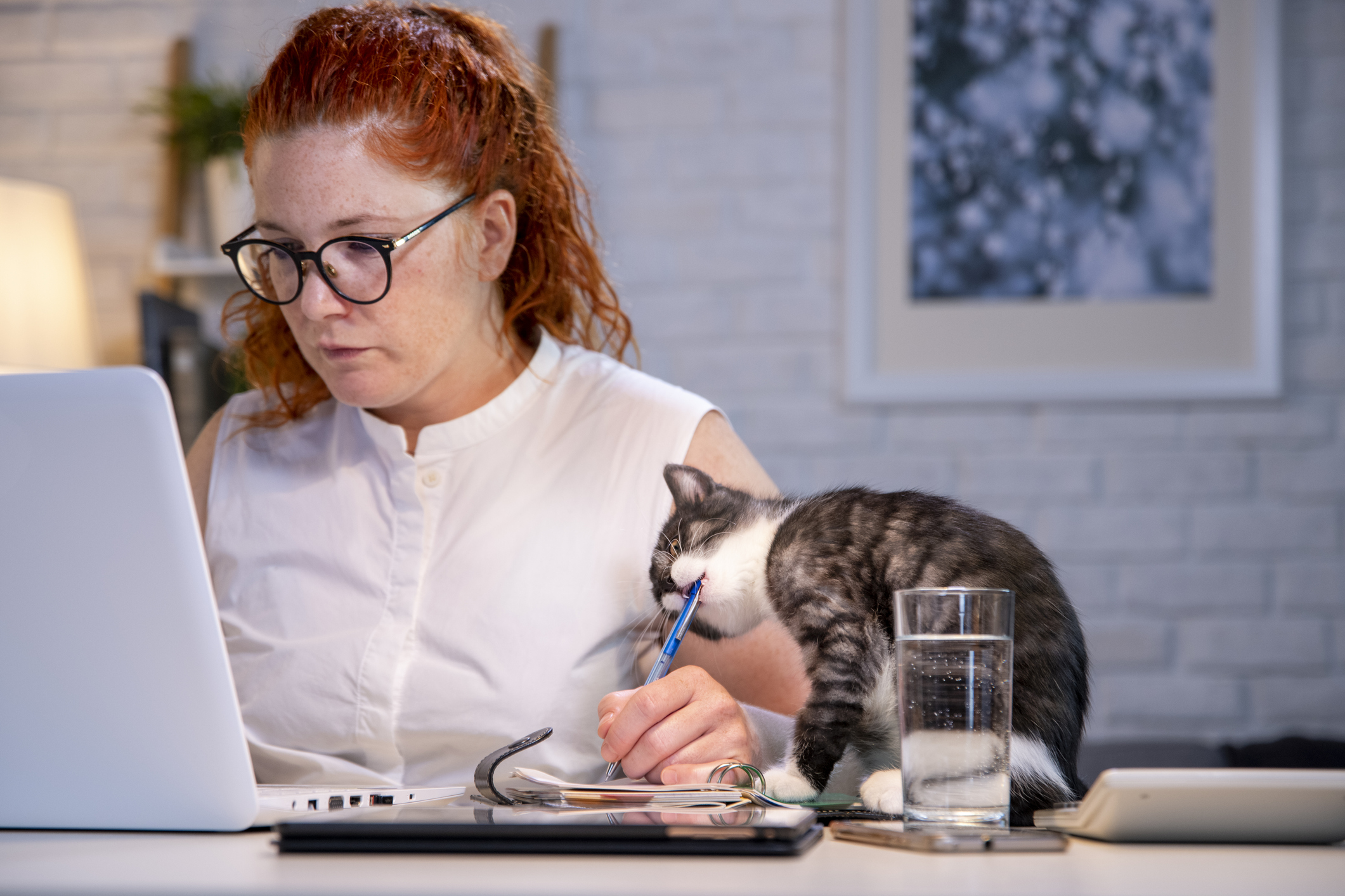 Closeup of a woman and her cat working remotely.