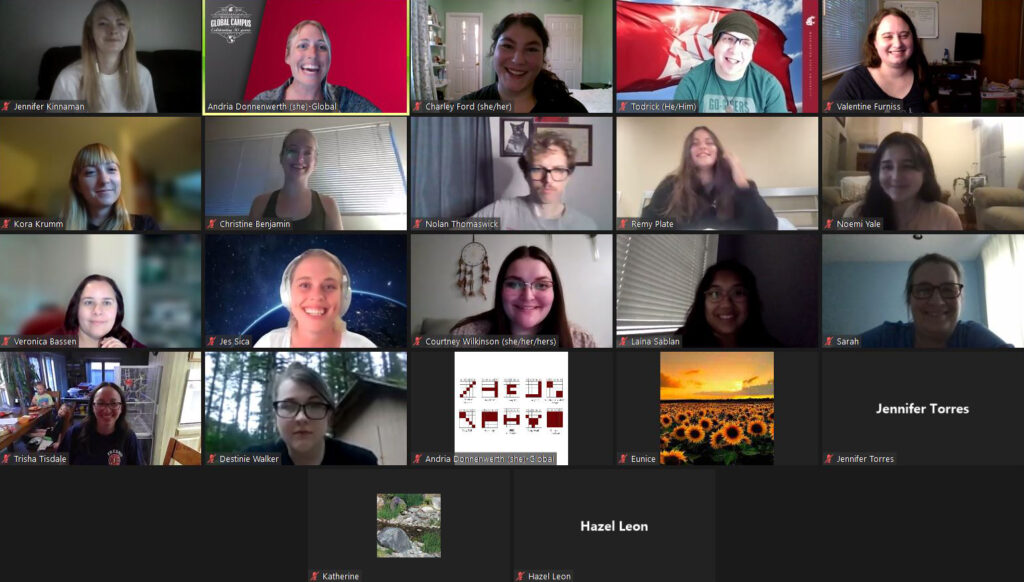 Screenshot of a WSU Global Campus Zoom session.