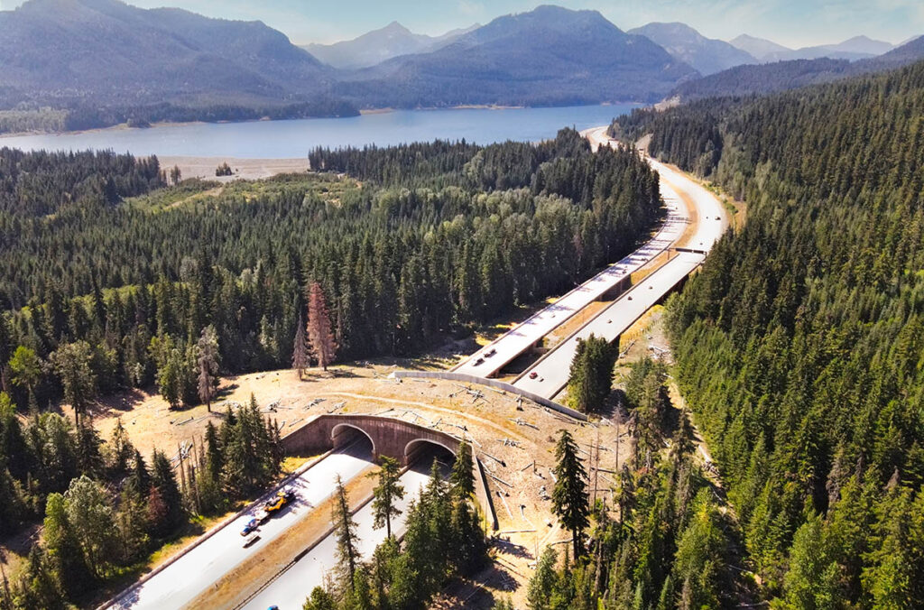 Arial view of a wildlife overcrossing over a freeway surrounded by forests.