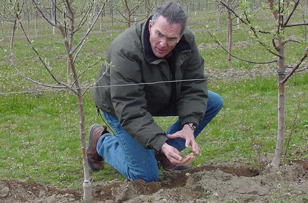Closeup of John Reganold working in a field.