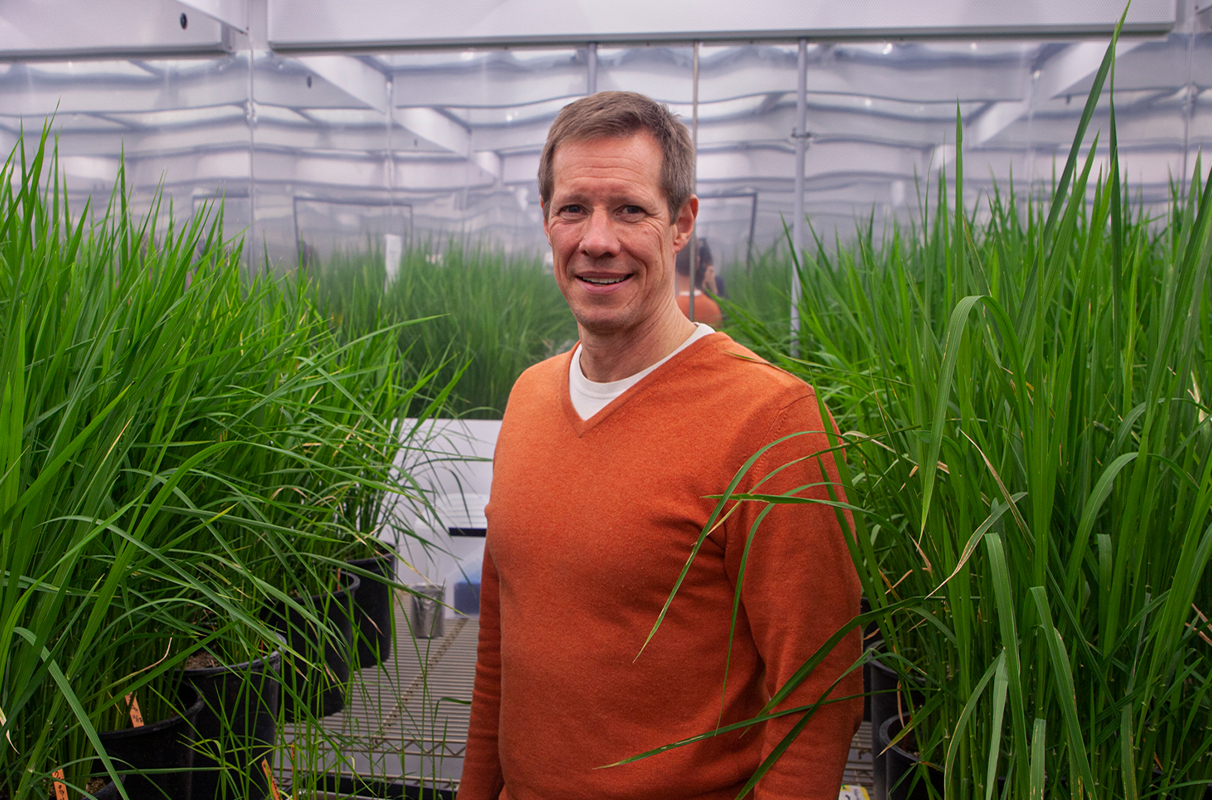 Closeup of Mark Lange standing in a greenhouse full of plants.