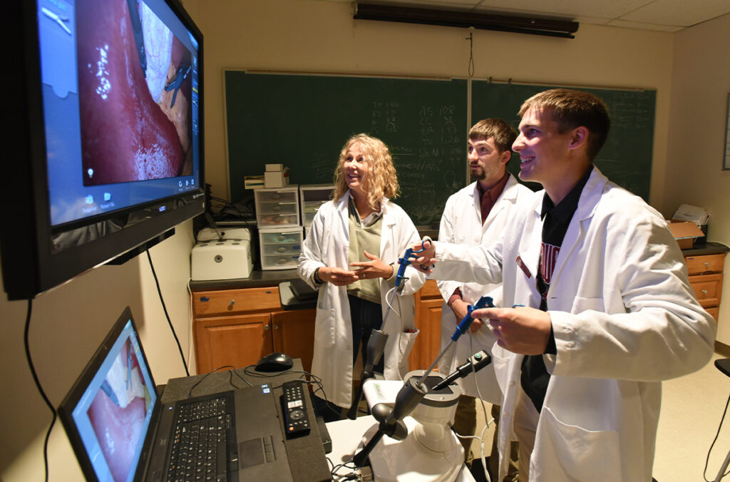 WSU veterinarian brings virtual reality to laparoscopic surgery WSU