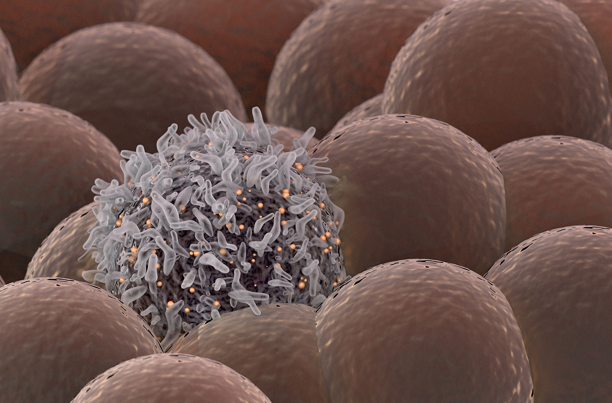 Chemotherapy could increase disease susceptibility in future generations – WSU Insider - Vimarsana News