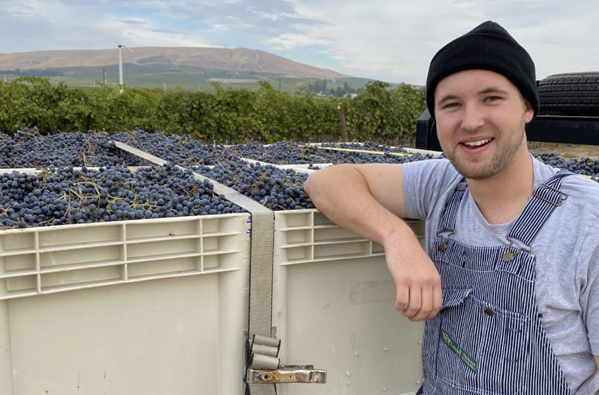 Closeup of Jesse Stevens standing next to bins full of grapes he'll use to make wine.