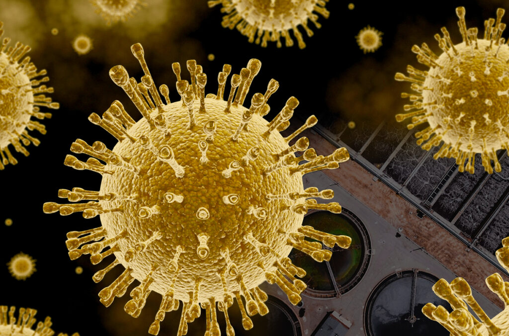 WSU-led report backs nationwide wastewater-disease surveillance – WSU