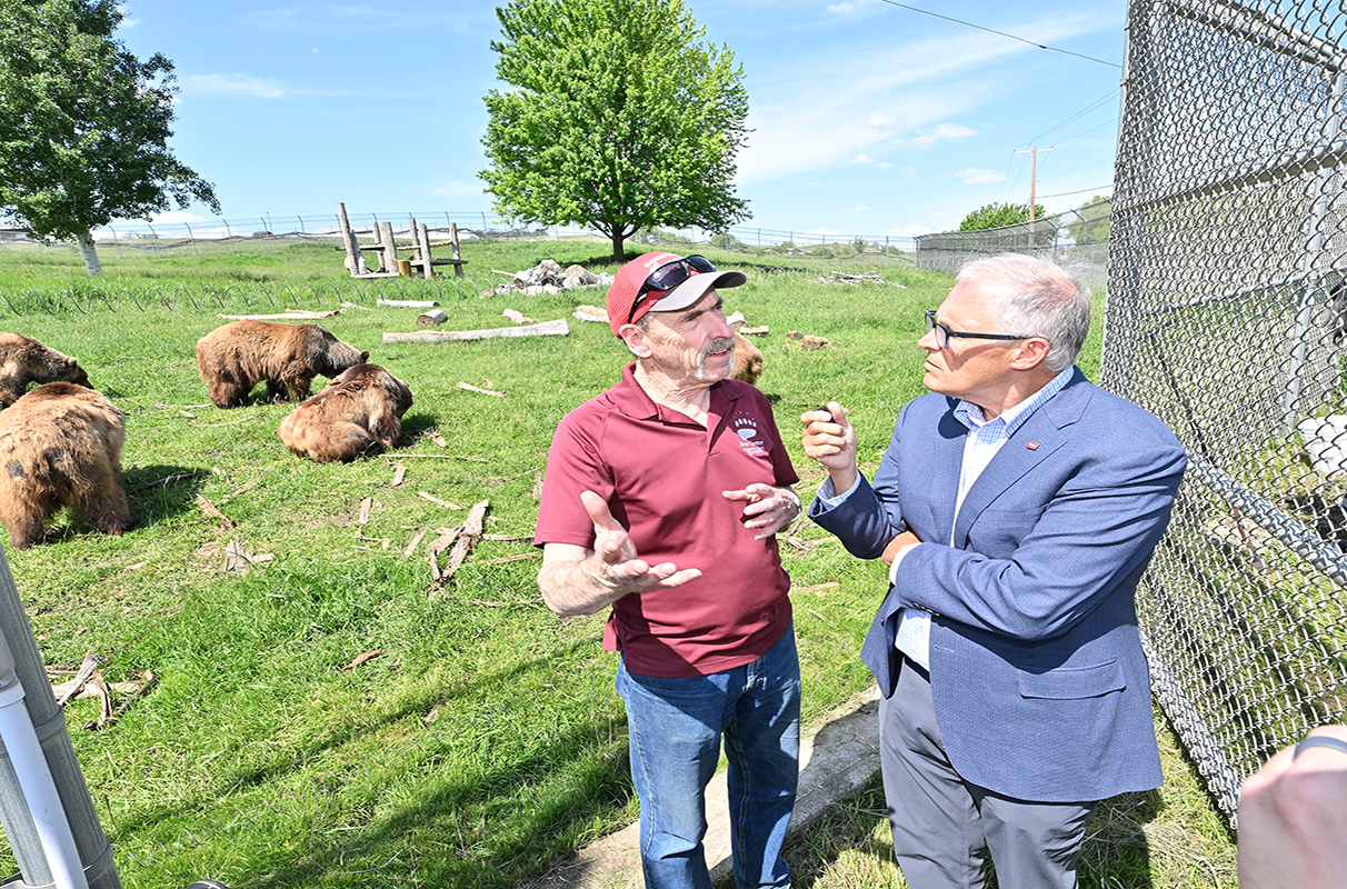 inslee talks with WSU's Charles Robbins about bear research