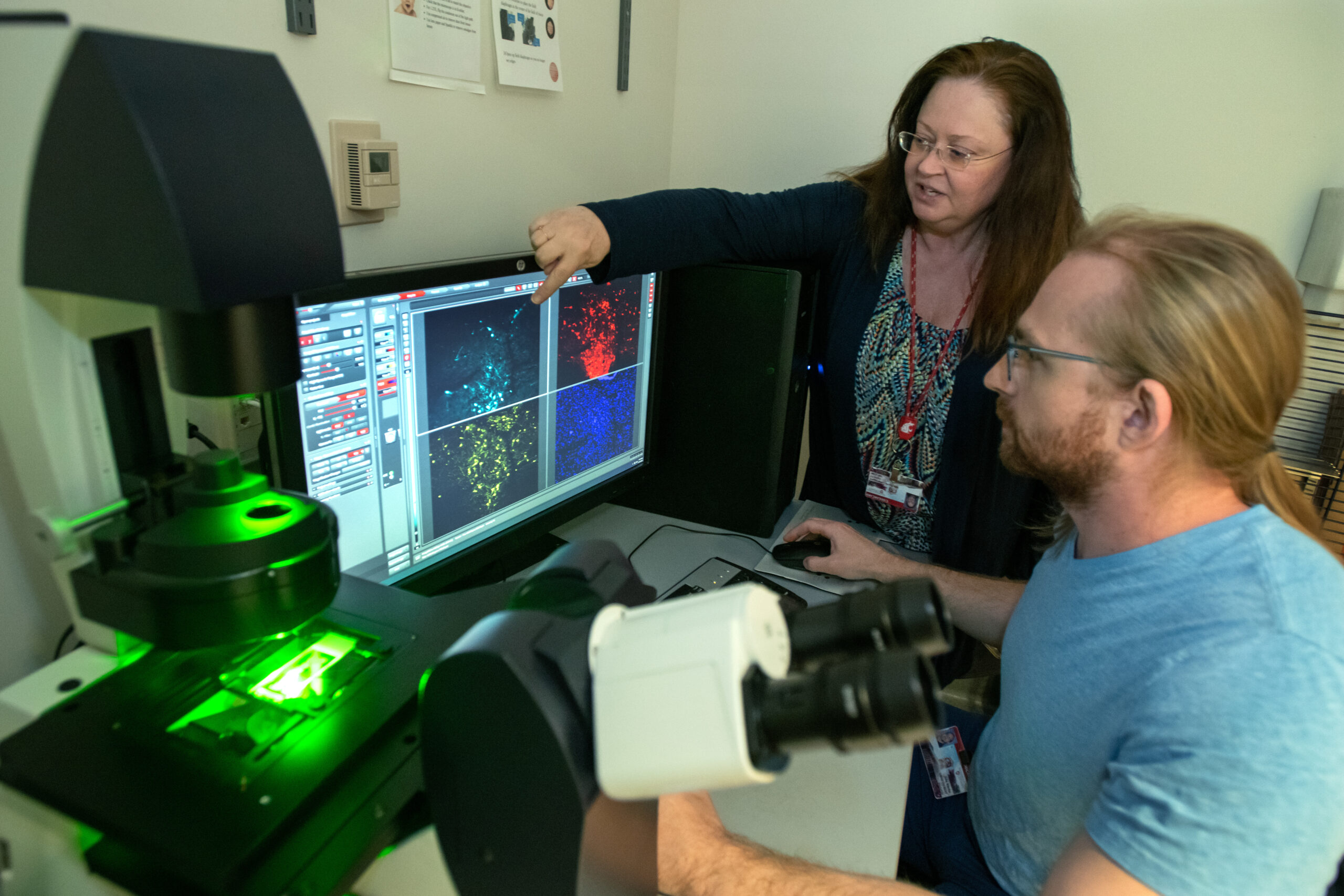 Rita Fuchs and Jobe Ritchie examine microscopic views of brain cells on a computer screen.