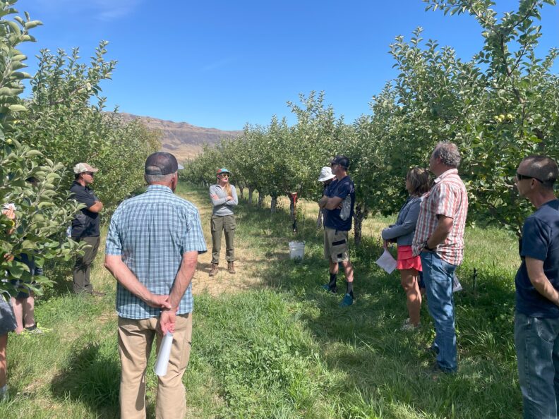 A small group of people standing in an orchard.