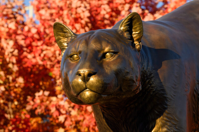 Bronze Cougar Statue against fall leaves in the background.