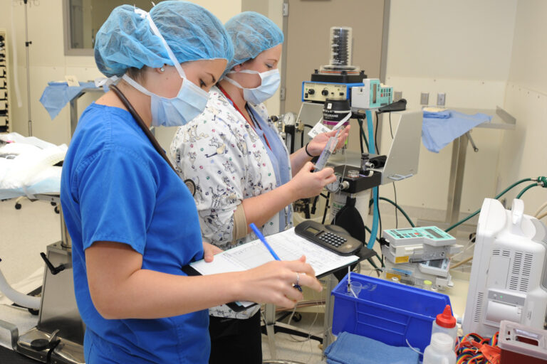 Pets and anesthesia Veterinary Teaching Hospital Washington State