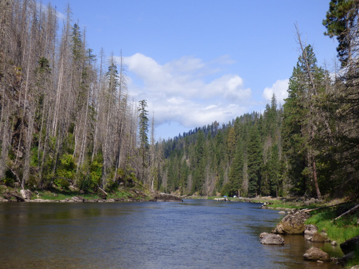 Rivers Watersheds And Communities Graduate Certificates Cereo