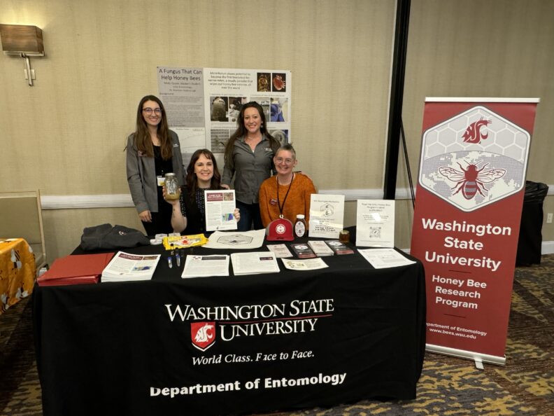 WSU Bee Program booth at 2024 WASBA Conference.
Pictured left to right: Kiersten Ritchie (back), Bri Price (front), Dr. Chelsea Abegg (back), Dr. Rae Olsson (front)