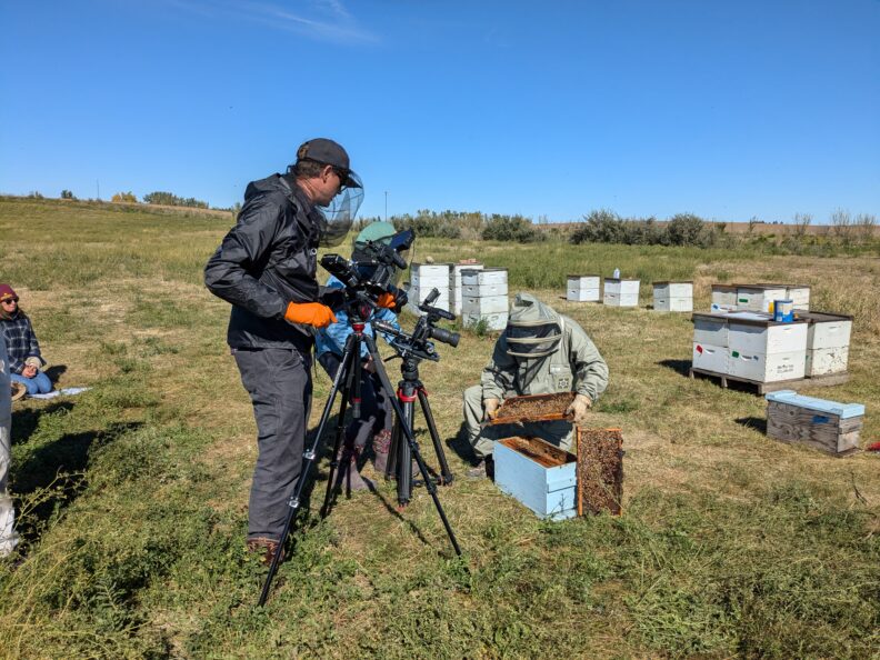 Videographer filming beekeeper working in a honey bee colony