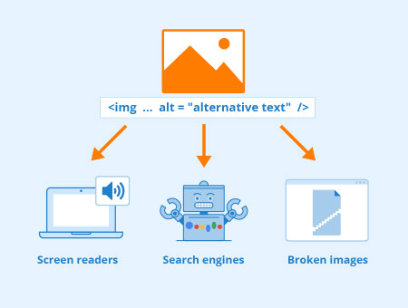 A diagram of an image's alt text or altenative text with the three palces it is used, screen readers, search engines, and broken images.