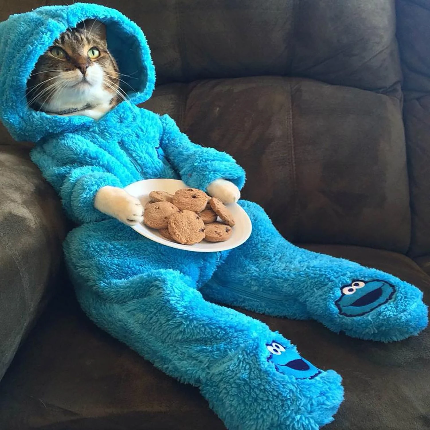 A kitty in a cookie Monster sleeper lounging on a couch with a plate of cookies on its lap.
