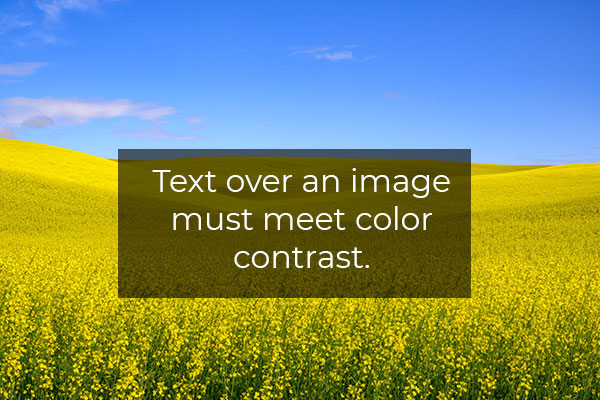 White text on a gray background over an image of a yellow canola field stating Text over an image must meet color contrast.