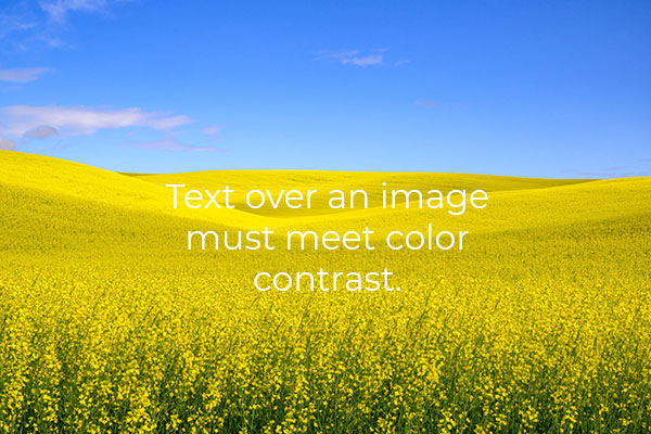 White text over an image of a yellow canola field stating Text over an image must meet color contrast.