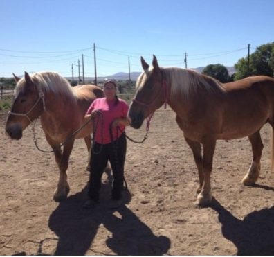 Jayne Beebe standing with two Belgian Draft horses.
