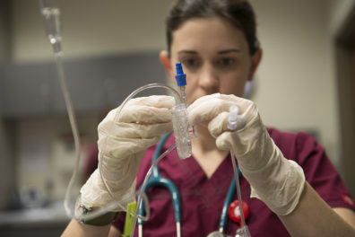 A BSN student at the WSU College of Nursing practicing clinical skills.