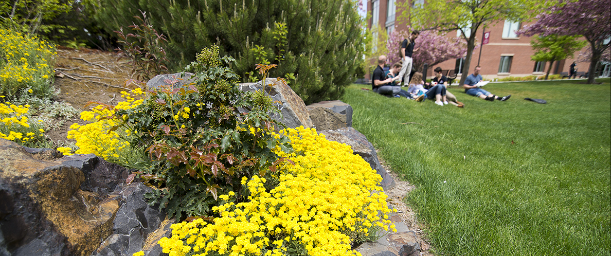 Spring on Spokane Campus