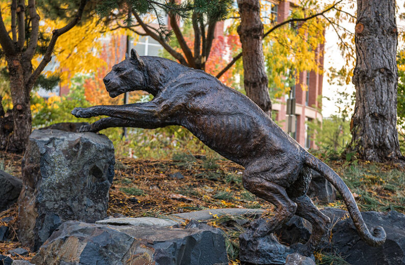 photo of statue of cougar on WSU Health Sciences campus