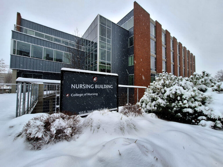 College Of Nursing Washington State University