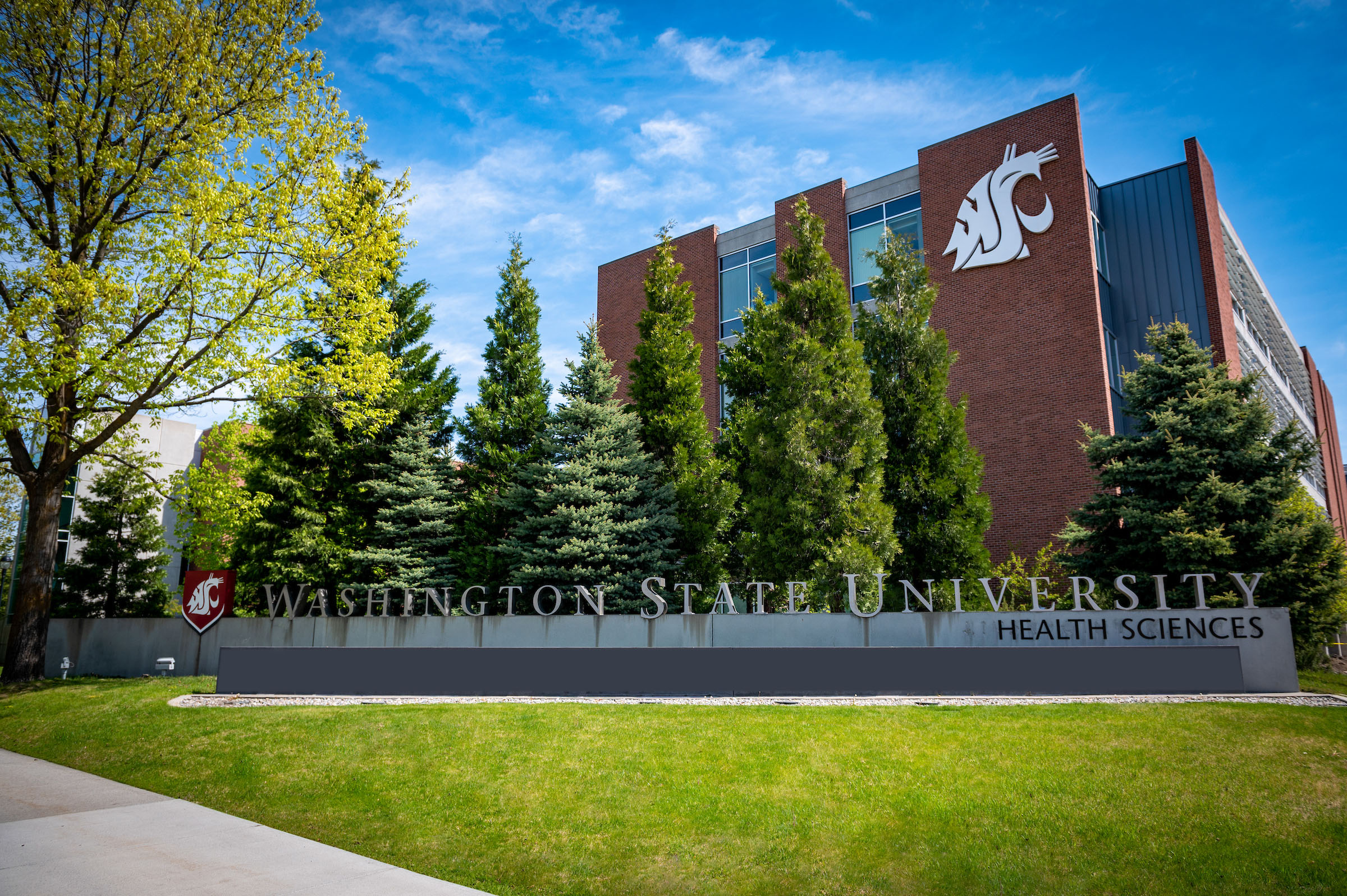 Strategic Plan 20232026 College of Nursing Washington State University