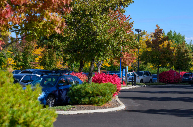 20232024 Parking Permits Now on Sale Elson S. Floyd College of