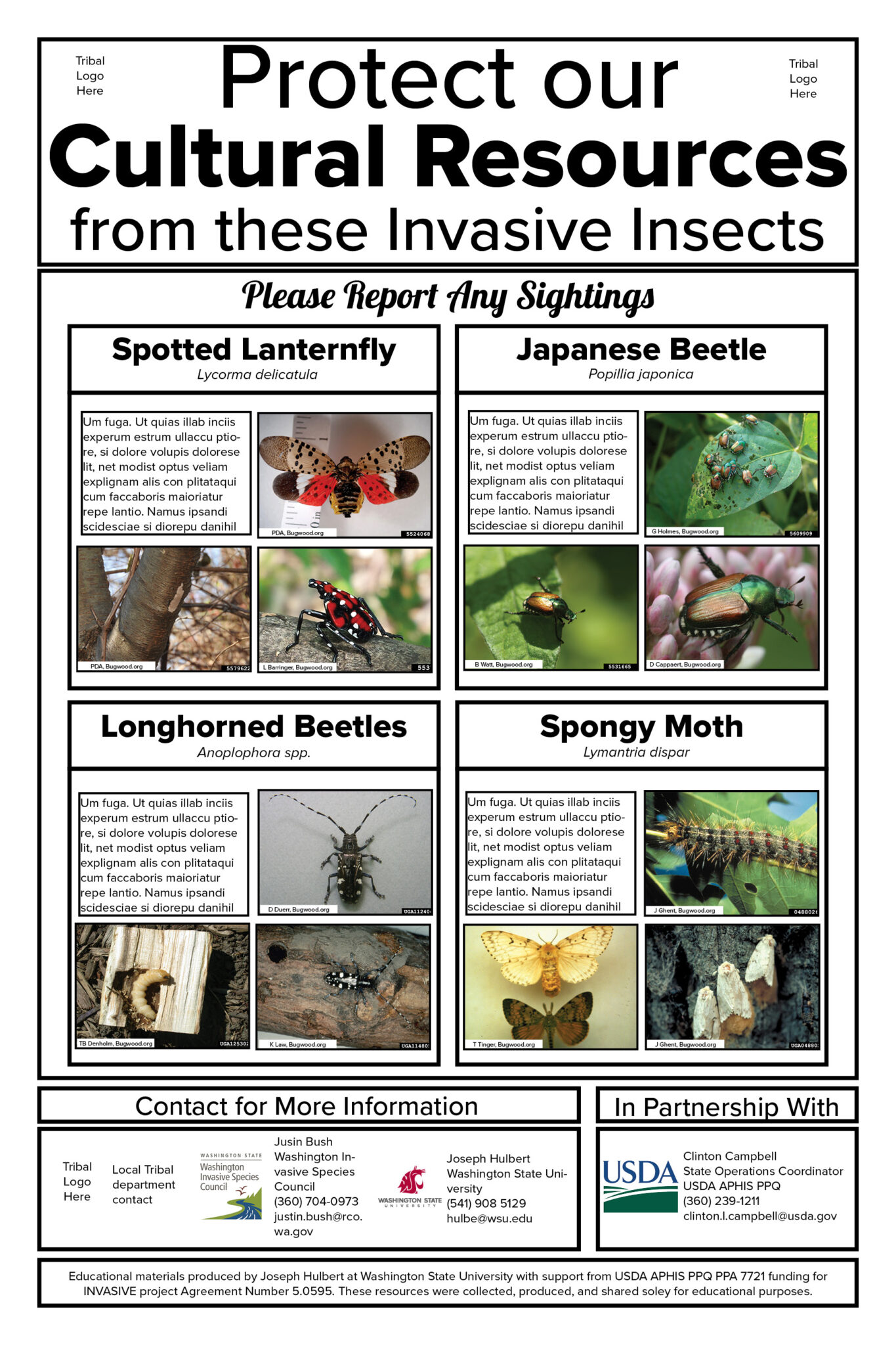 The Invasive Species Threatening To Destroy Our Savannas - oge9bow