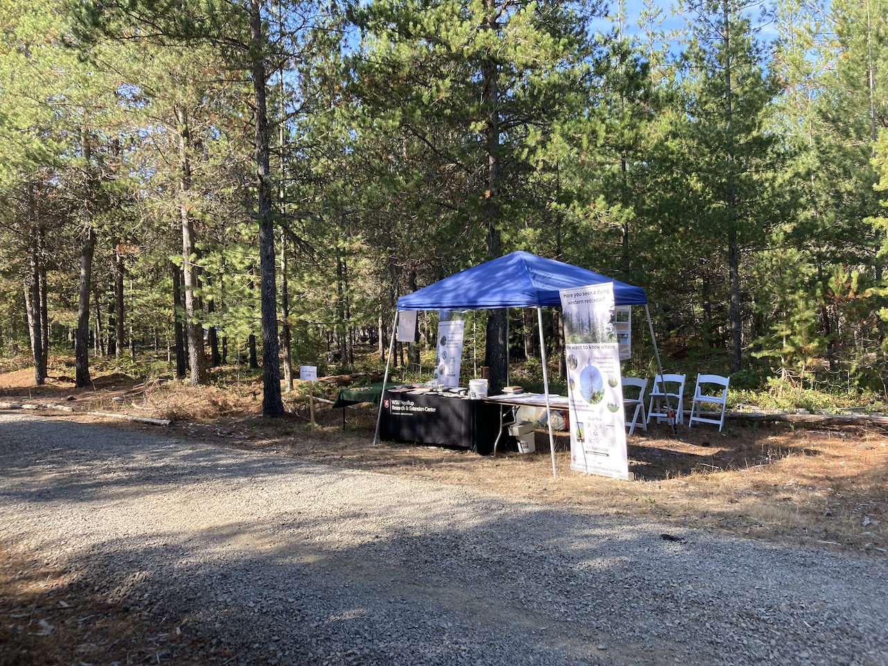 Many thanks for including us at the Muckleshoot Tomanamus Community Day