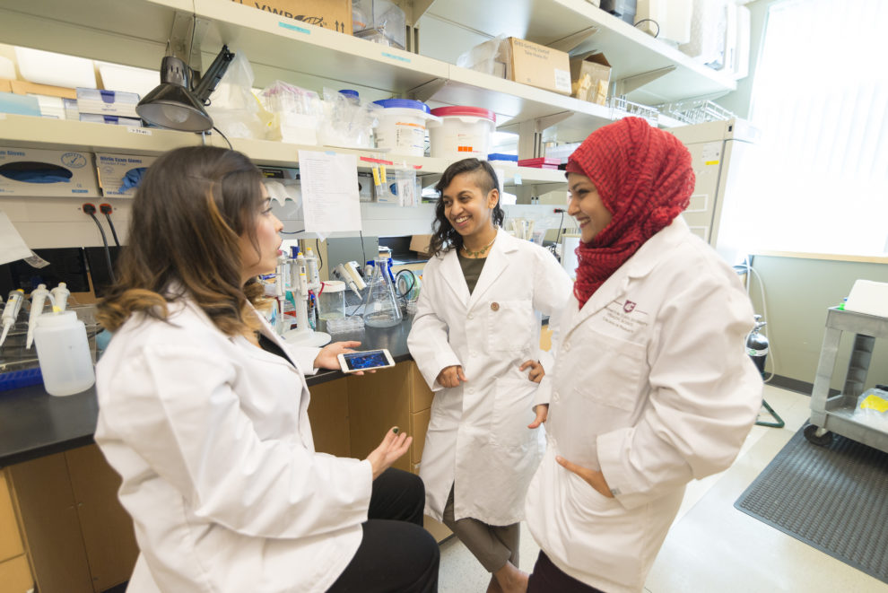 Pre Admission Requirements Pharmacy And Pharmaceutical Sciences Washington State University