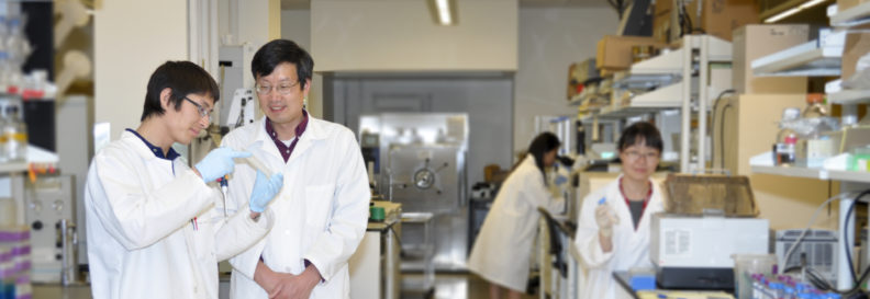 Professor Zhu working in his research lab