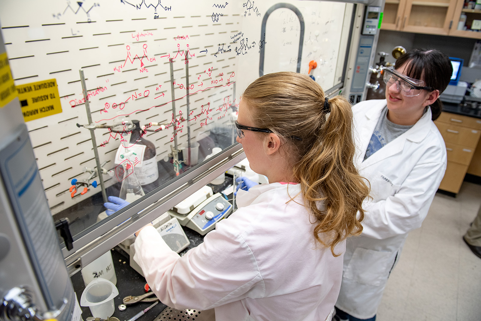 Wsu pullman research pullman campus washington state university