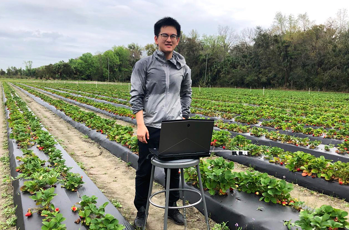 Researcher standing in a field