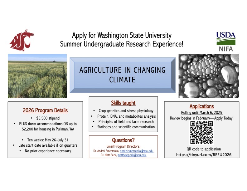 Decorative slides summarizing information that is in main body of this webpage.