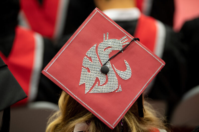 Cougar head logo stenciled on graduation cap.