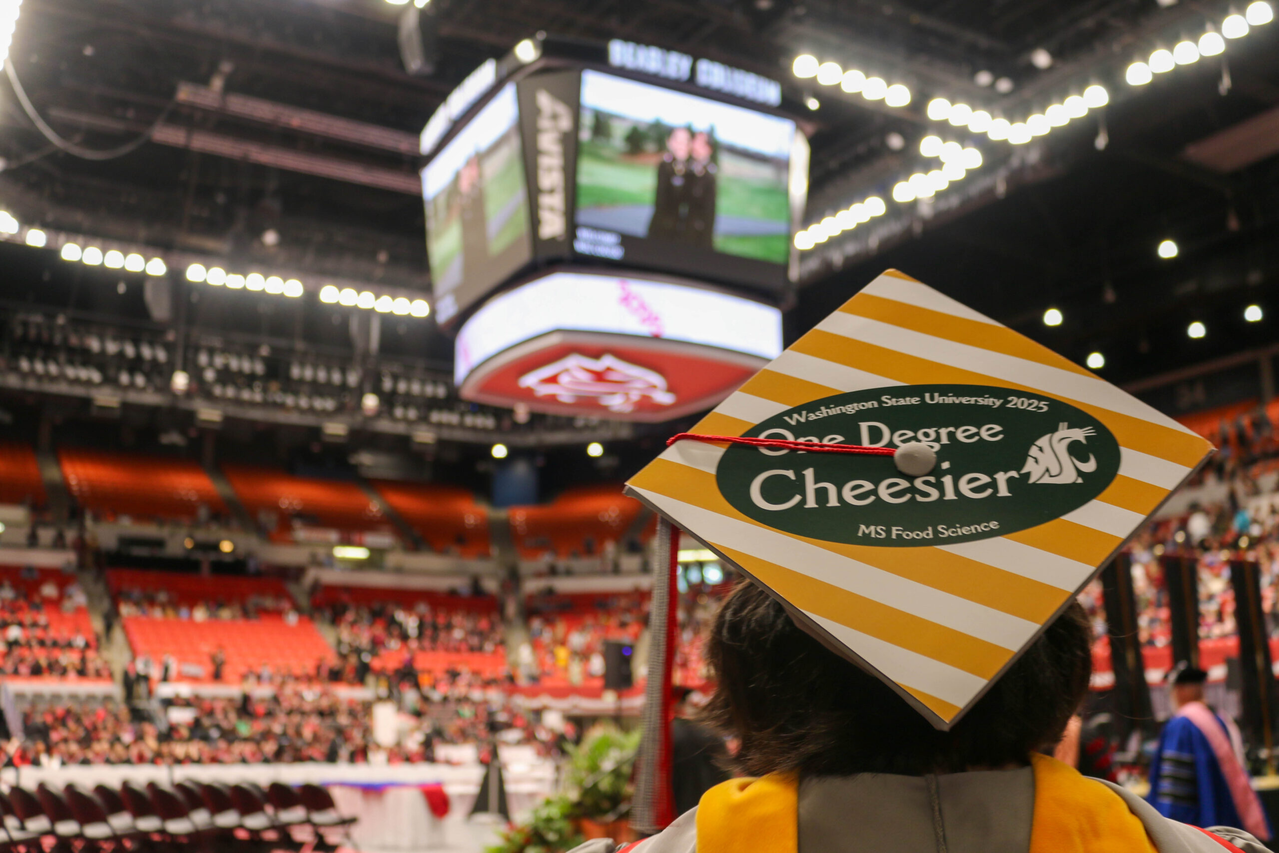 The back of Katherine Rehberger's graduation cap with the inside of the Colosseum in the background. Her cap says "One Degree Cheesier" and is decorated like a cougar gold can.