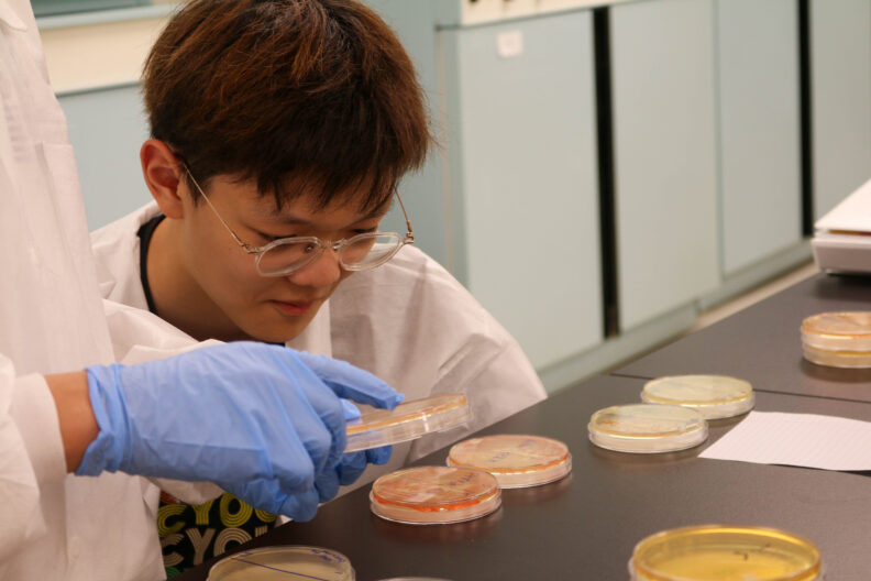 One student points to a petri dish while another gets a close up look at the red bacteria inside.