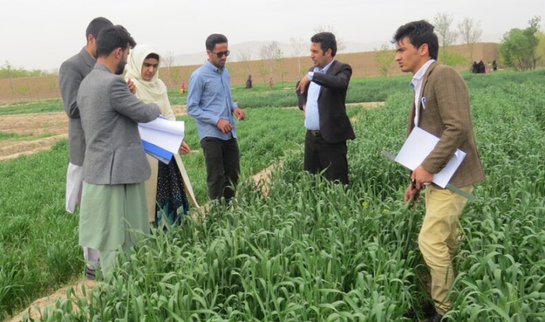Barakatullah and others stand inside farmland. Leafy and grassy plots surround them.
