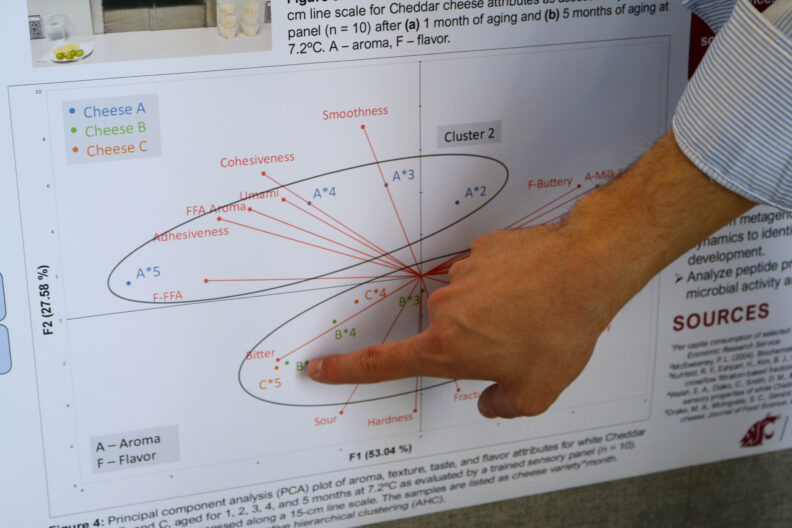 Jayden points at a diagram depicted in his research poster.