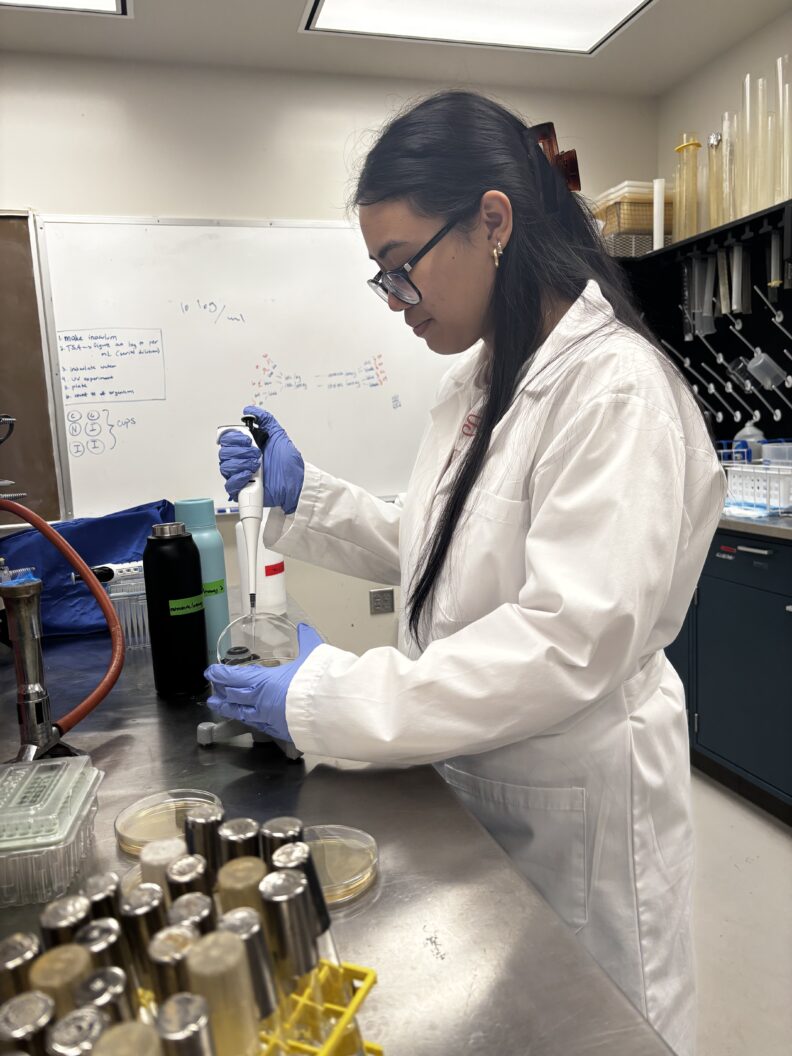 Sherine working in the lab.