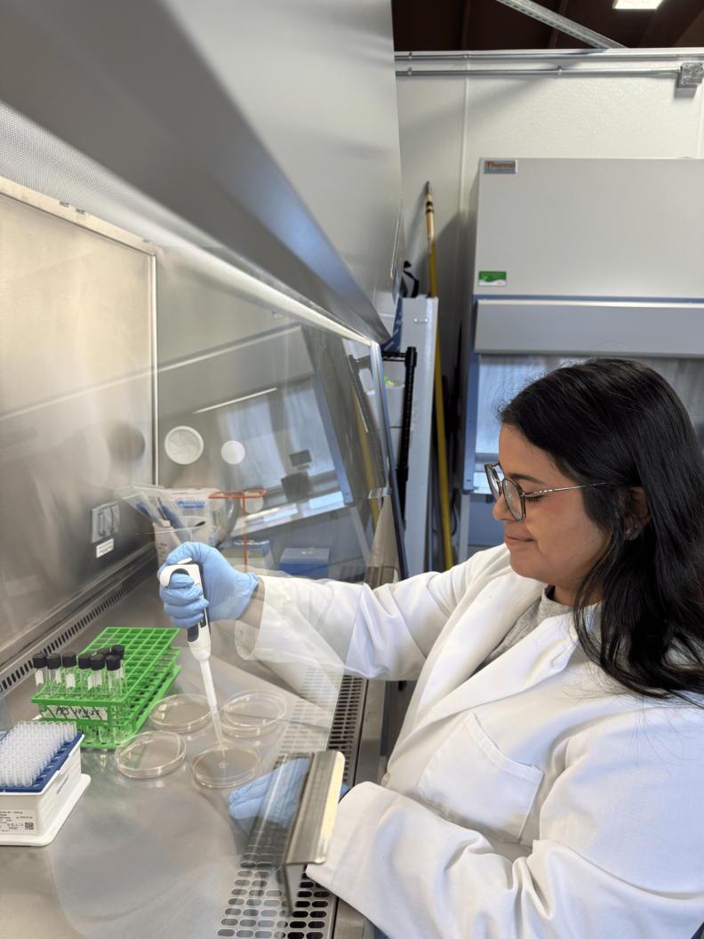 Miriam uses a pipet into a petri dish.