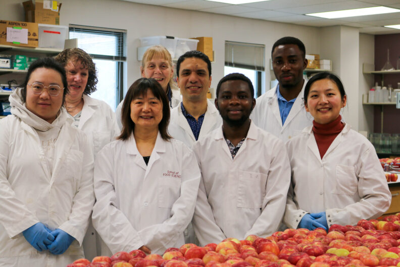 Meijun Zhu's lab group stands together. They stand in front of a counter completely covered in apples.