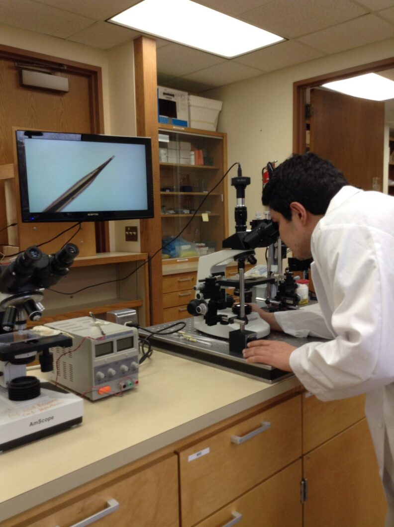 Person looking thru a microscope connected to a TV.