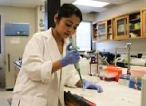 Basu Lab Washington State University Basu Lab Washington State University