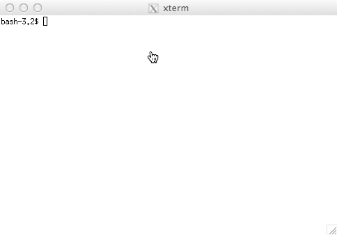 XQuartz opens a terminal window