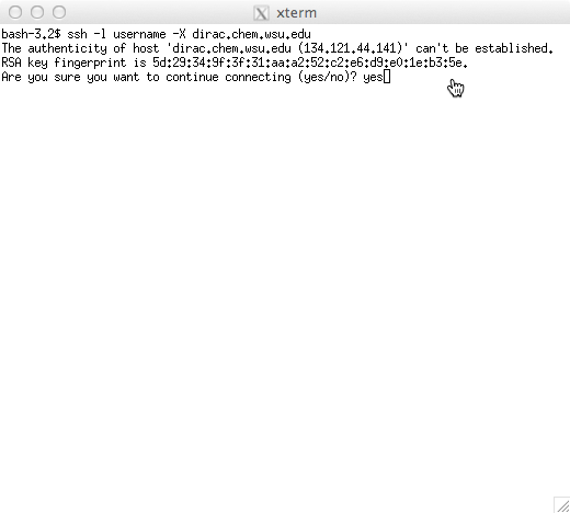 The XQuartz terminal window. Connecting to dirac the first time.