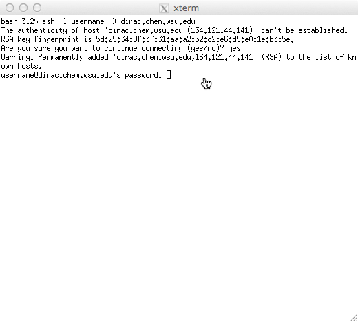 The XQuartz terminal window. Enter the password for the remote user name.